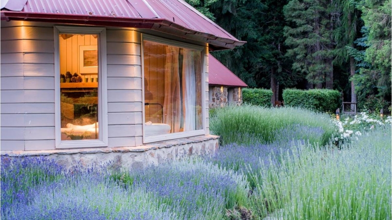 Embrace the Blossoming Beauty: Welcome Spring in the Southern Hemisphere