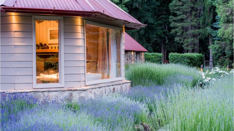 Embrace the Blossoming Beauty: Welcome Spring in the Southern Hemisphere