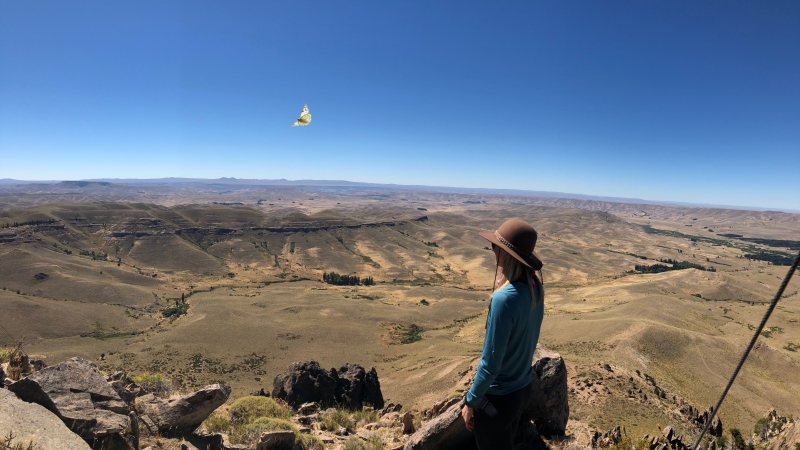 Hiking the Patagonian Steppe