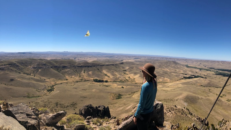 Hiking the Patagonian Steppe