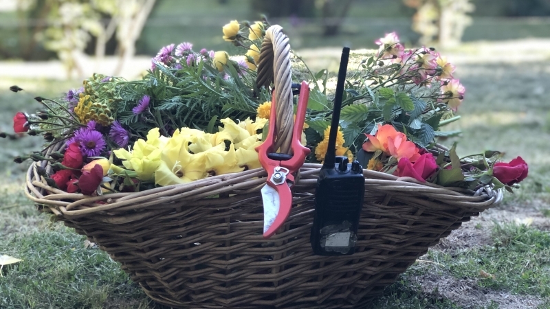 Flower Arrangements