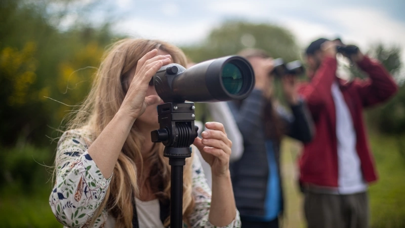 Bird Watching